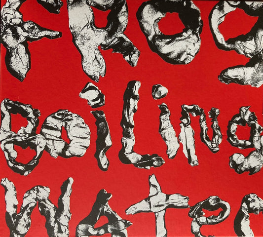 DIIV - Frog In Boiling Water