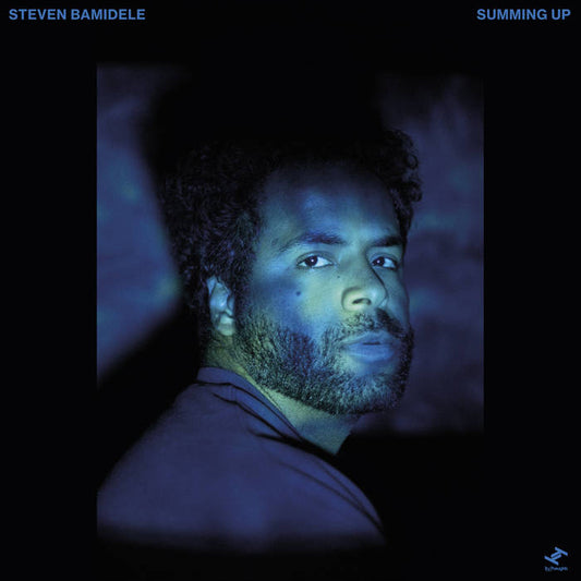 Steve Bamidele - Summing up [TRULP441]